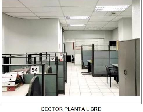 sector plantalibre 2
